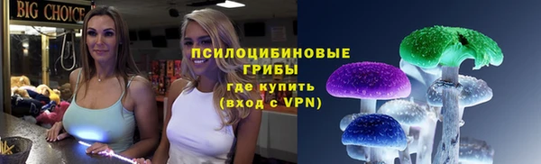стафф Мегион