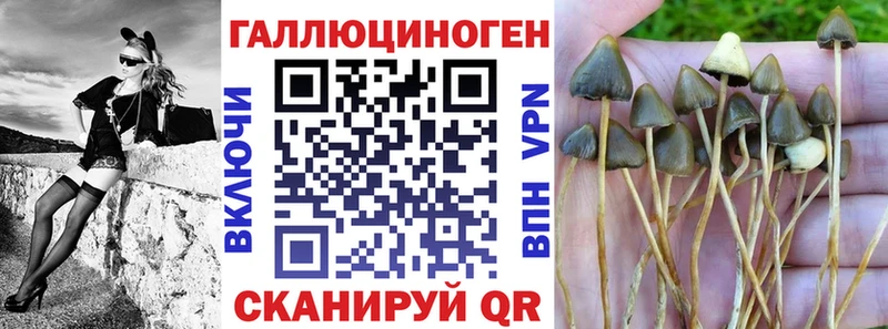 Псилоцибиновые грибы мицелий  купить  цена  Севастополь 