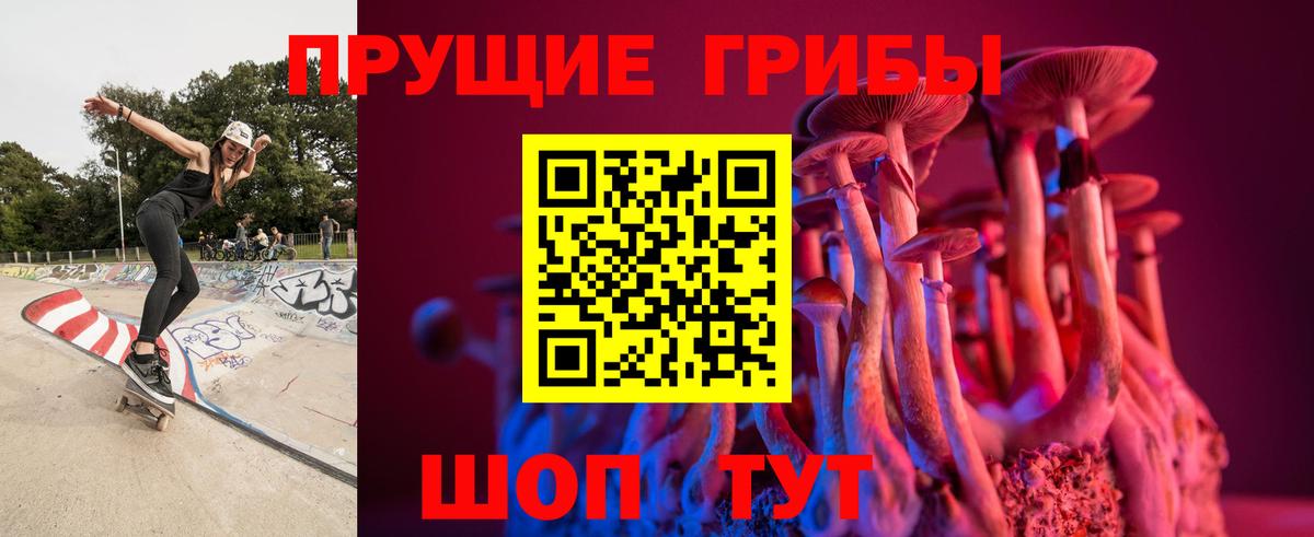 Севастополь  Галлюциногенные грибы мухоморы  купить   Вход с VPN 